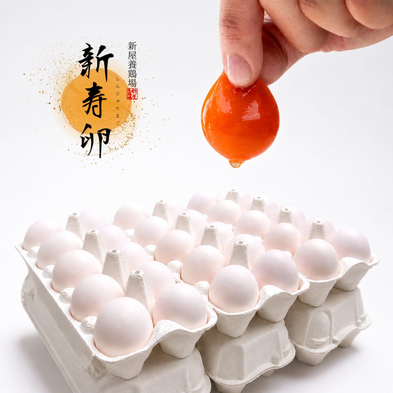 新寿卵 ─ 濃いオレンジ色の黄身と産みたての白卵